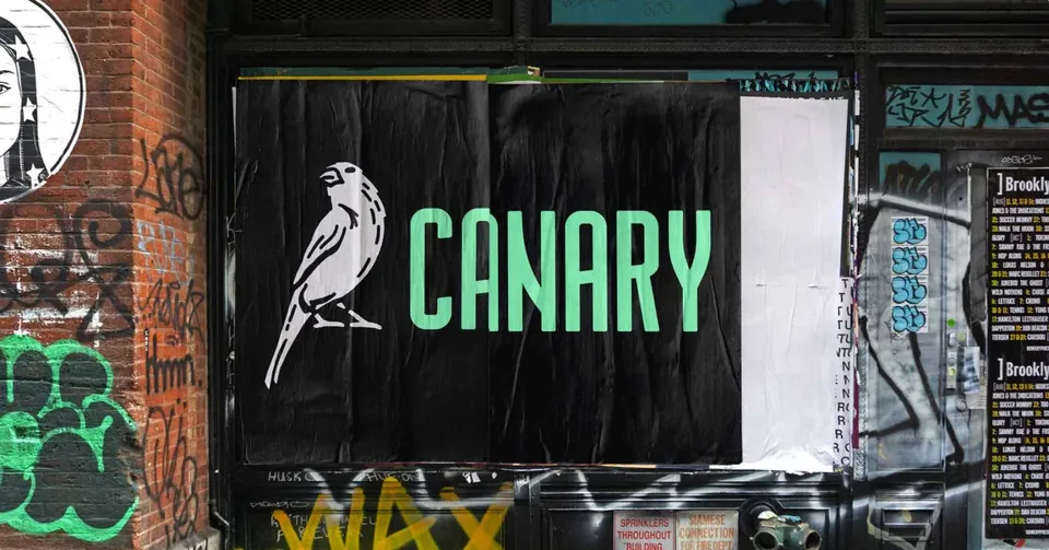 Canary visual identity and brand expression